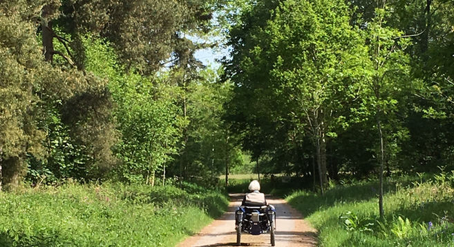 Person on mobility scooter on track between trees