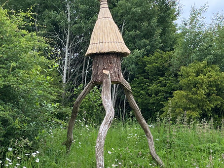 Group Walk: Sheepdrove Organics Farm, Lambourn Downs