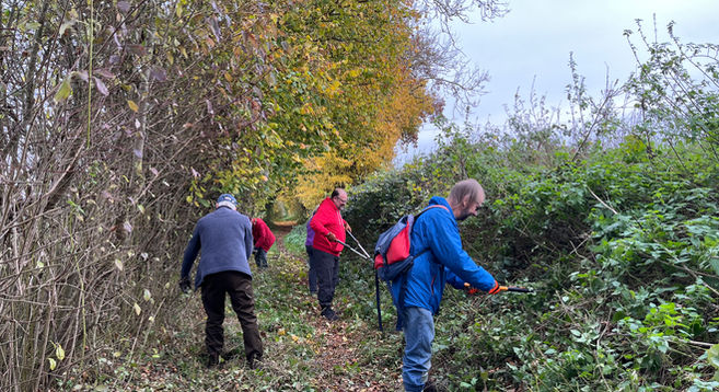 Volunteers clearing vegetation in Hatchet Lane
