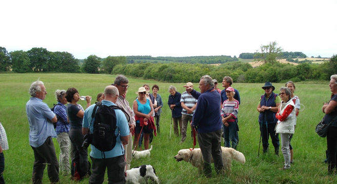 Group of walkers in field at Brails