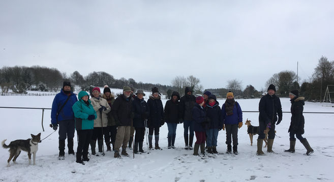 Large group of walkers in the snow