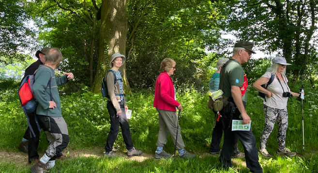 Walkers in the countryside