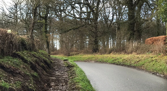 Cleared surface of roadside path