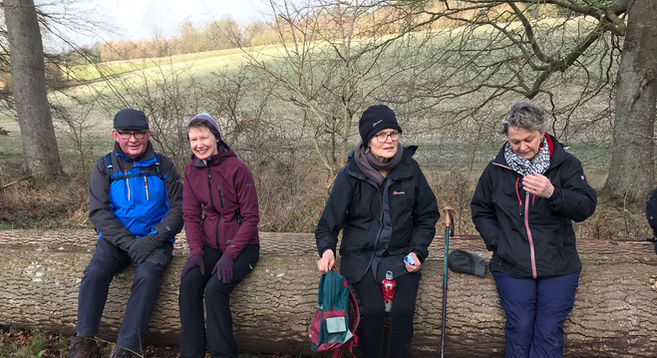 4 walkers resting on a log Littlecote Estate