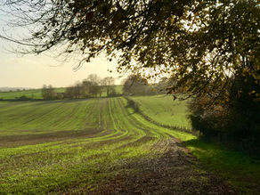 Holloway, Crofton, Haw Wood 