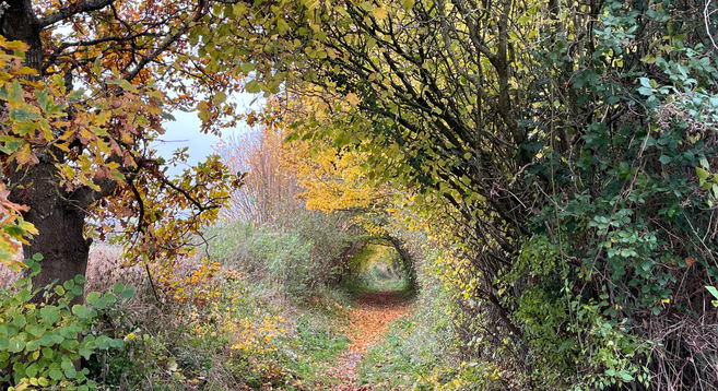 View along Hatchet Lane