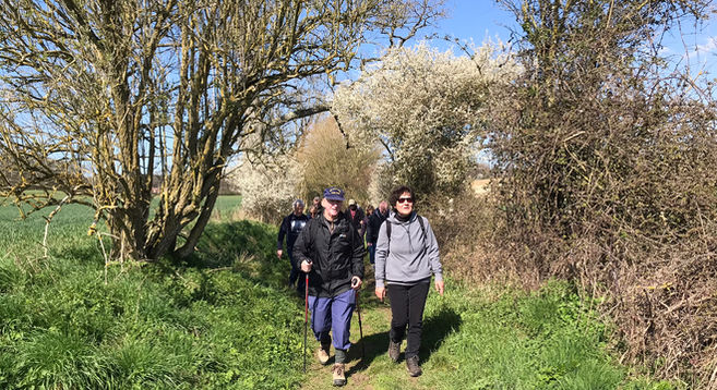Walkers in Hatchet Lane