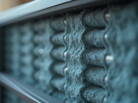 Best Indoor Air Quality Tools for Your Home