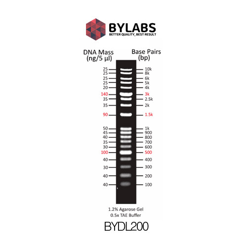 25/10 DNAプラス1本 ExcelBand 1 KB Plus (0.1-10 kb) DNA Ladder 500 µl - Lab
