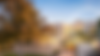 Patterson Painting and Property ServiceWebsite Cover (3).png