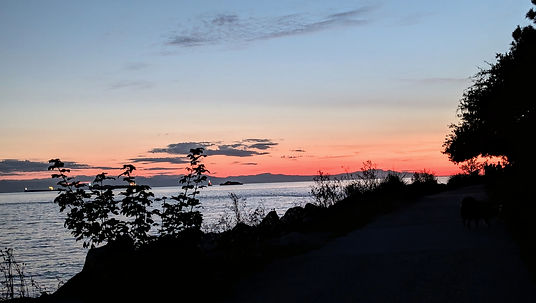 PXL_20240910_031855360.NIGHT~2.jpg