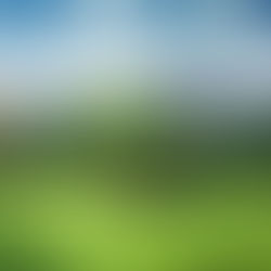 The Importance of Regular Lawn Care for a Healthy Yard