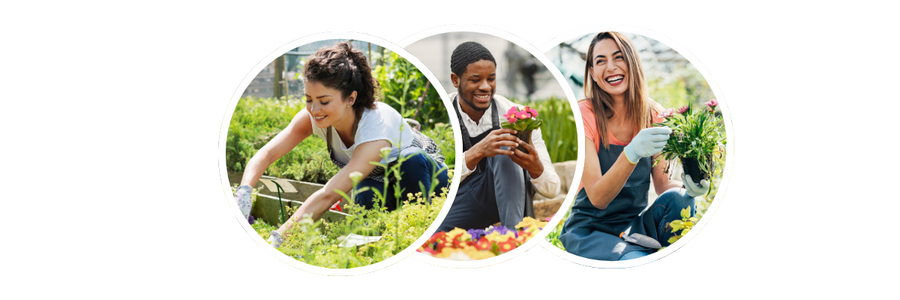 Three people working with plants, smiling, in circular images, greenery background.