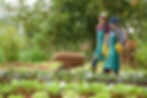 mother-with-daughter-workers-with-flowerpoots-people-pours-flowers.jpg