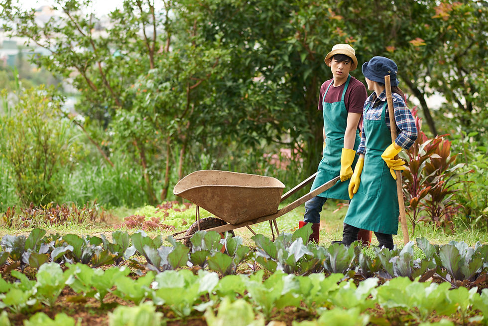 mother-with-daughter-workers-with-flowerpoots-people-pours-flowers.jpg