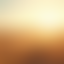 Maximize Your Land Sale Potential with Next Exit Land