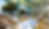 1-w362_edited.png