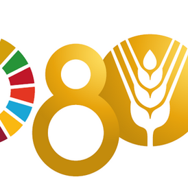 FAO Science and Innovation Forum 2026 Puts AI, One Health and Research Finance on Agenda