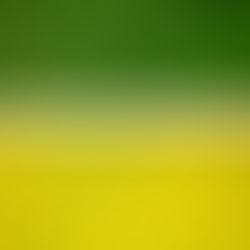 Aerial view of canola and green crop fields in Saskatchewan, Canada; contextual licensed image, not a specific farm in the report.