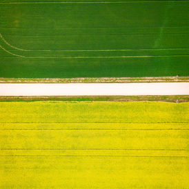 Aerial view of canola and green crop fields in Saskatchewan, Canada; contextual licensed image, not a specific farm in the report.