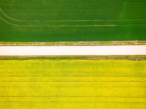 Aerial view of canola and green crop fields in Saskatchewan, Canada; contextual licensed image, not a specific farm in the report.