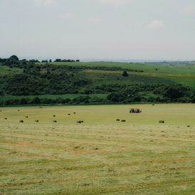 Tractor working in a British field in the South Downs; contextual Unsplash image illustrating on-farm trials, not a funded grant project.