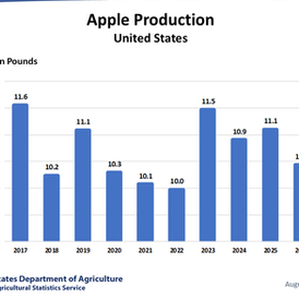 USDA chart showing United States apple production