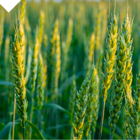 Official World Agri-Tech London event graphic for the 2026 summit
