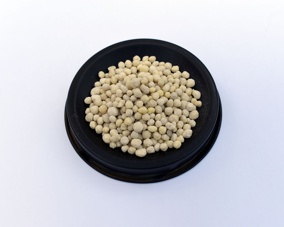 Diammonium phosphate fertilizer granules representing phosphate fertilizers covered by France's cadmium limits