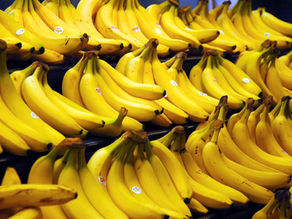 Bananas representing the Philippines' fruit-led agricultural export sector