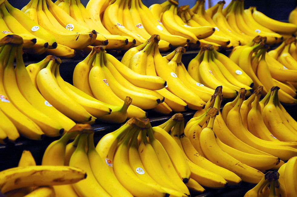 Bananas representing the Philippines' fruit-led agricultural export sector
