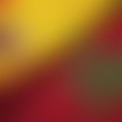 Por qué Marruecos es el Mayor Proveedor de Frutas y Verduras de España