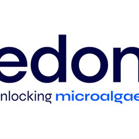Edonia spirulina-based protein ingredient representing its industrial food production scale-up