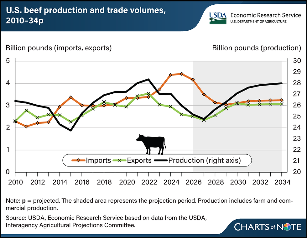 USDA chart showing U.S. beef production, imports and exports, illustrating the supply backdrop behind the 2026 temporary beef import quota
