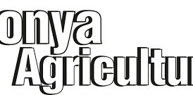 Konya Agriculture Fair 2026: What It Is, Who Goes, and Whether It's Worth the Trip cover image