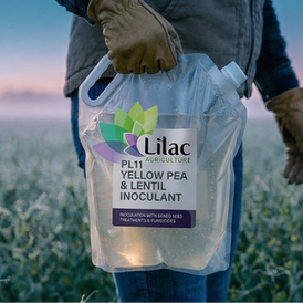 Lilac Agriculture PL11 yellow pea and lentil inoculant product in a crop field