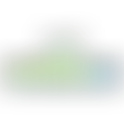 Spearhead Bio precision plant genome engineering logo