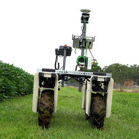 Southern Illinois University soybean disease detection robot beside a soybean field