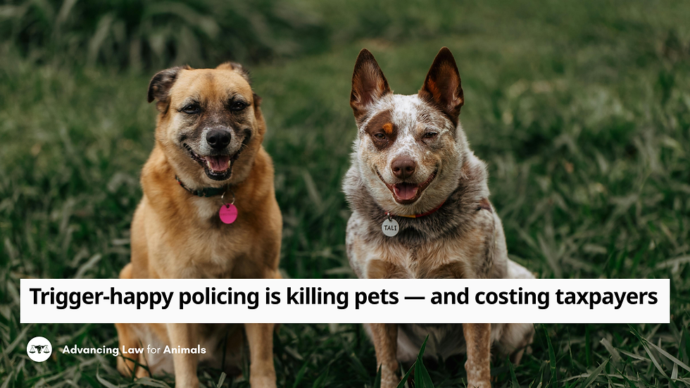New Op-Ed: Trigger-Happy Policing is Killing Pets