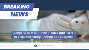 Victory for Animals in Laboratories!