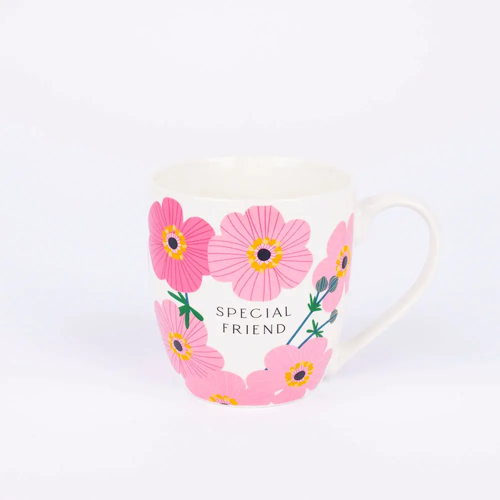 Special Friend Mug 
