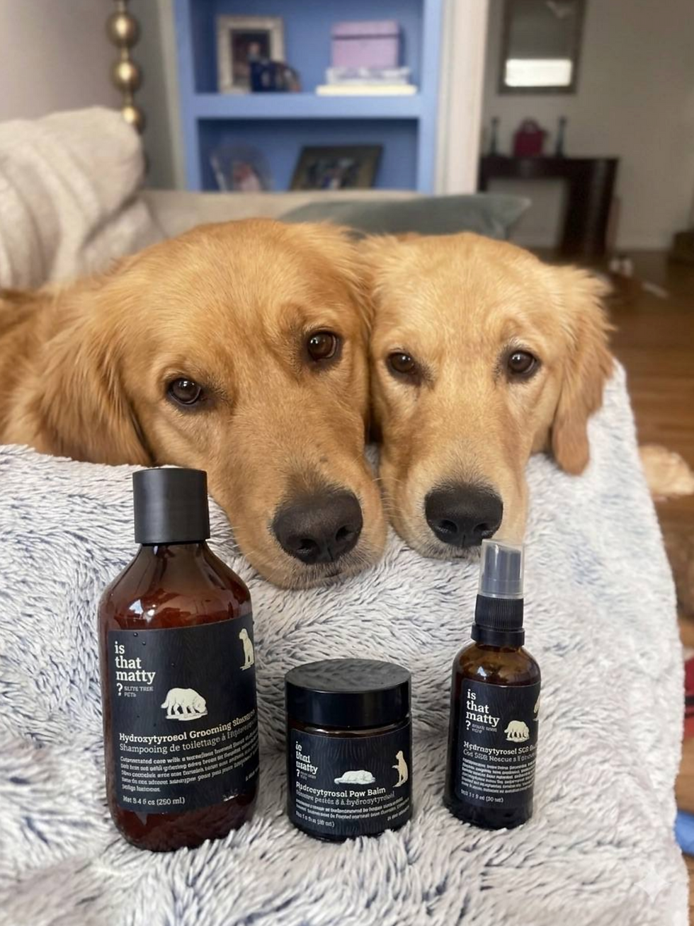 Two dogs on a mat