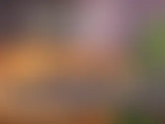 Newspaper - Windover