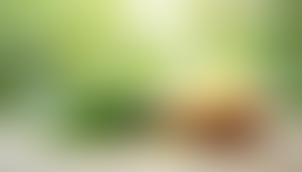 Why Choosing Natural Ingredients Matters for Your Skin