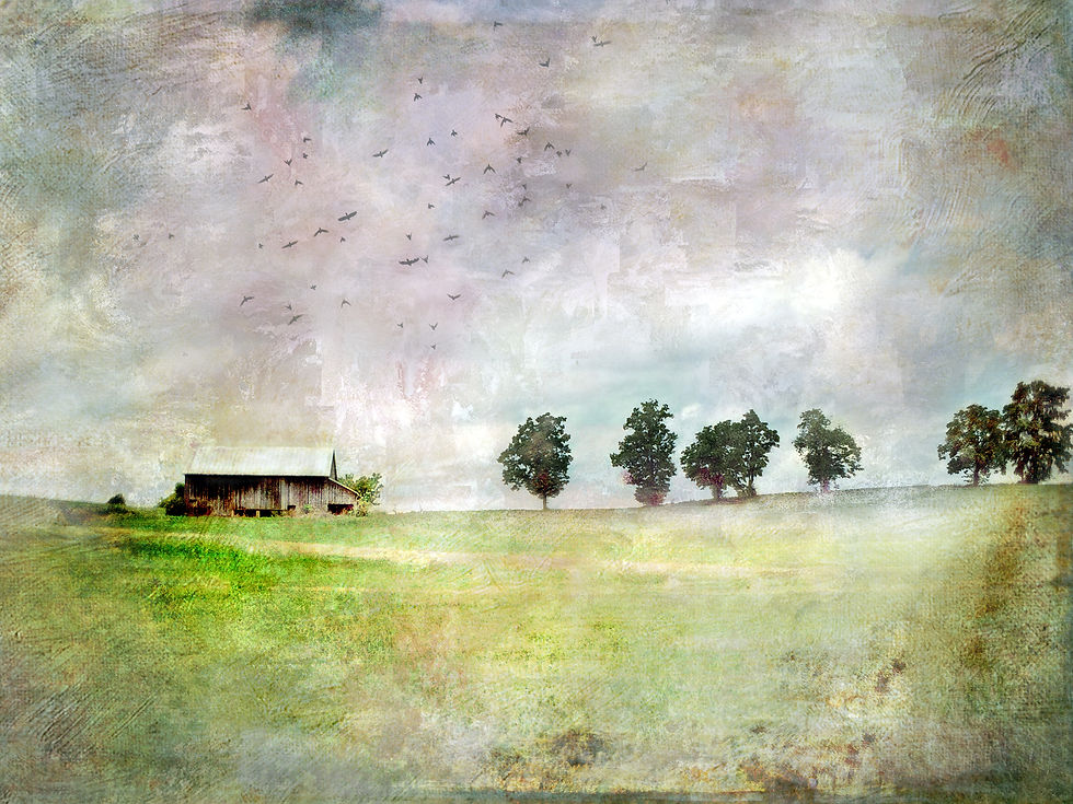 Bucolic Vision