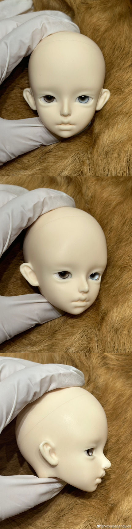 Thumbnail: 「Wonderland Doll」Amos SP ver 45cm BJD Doll (1/4)