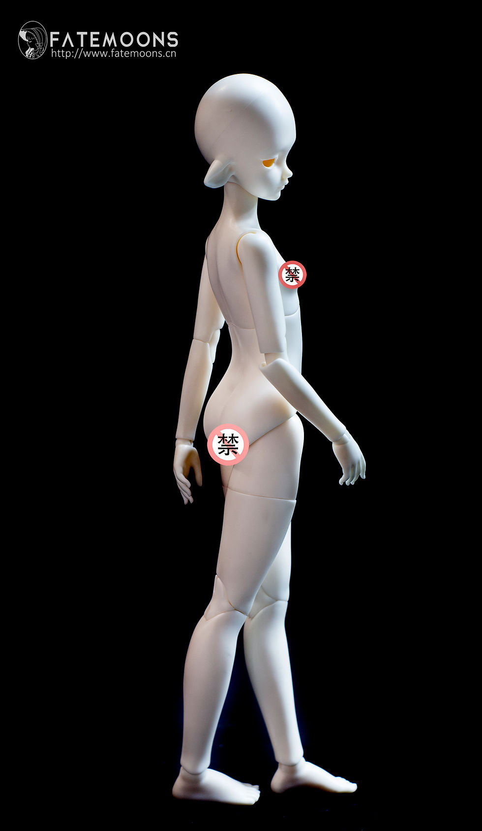 Thumbnail: 「Fatemoons」1/4 Girl Body (DB042101)