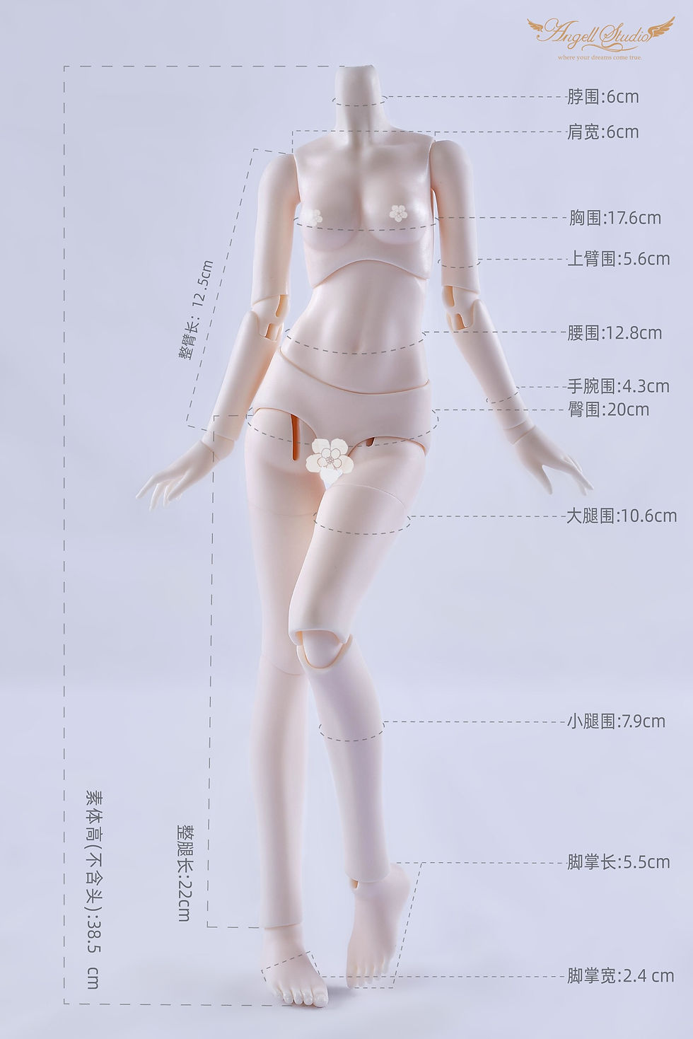 Thumbnail: 「Angell Studio」Body Comparison (Measurement) / Only Body (1/6, 1/4, 1/3)