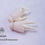 Thumbnail: 「Dollzone」1/4 Girl Hands (H-G-45-03)