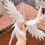 Thumbnail: 「MoMo」BJD Angel and Devil Wings (Double)
